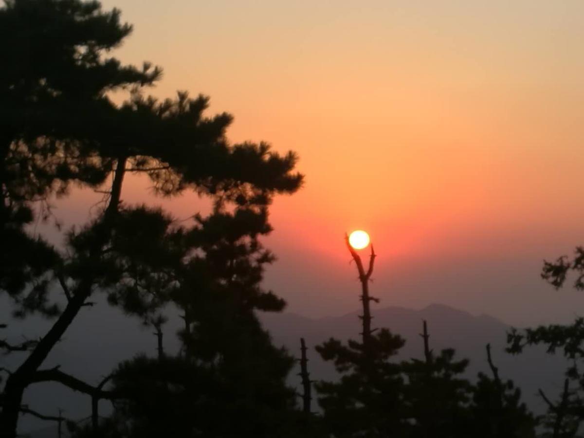 더칭 모간 마운틴 샤오무센센 빌라 외부 사진