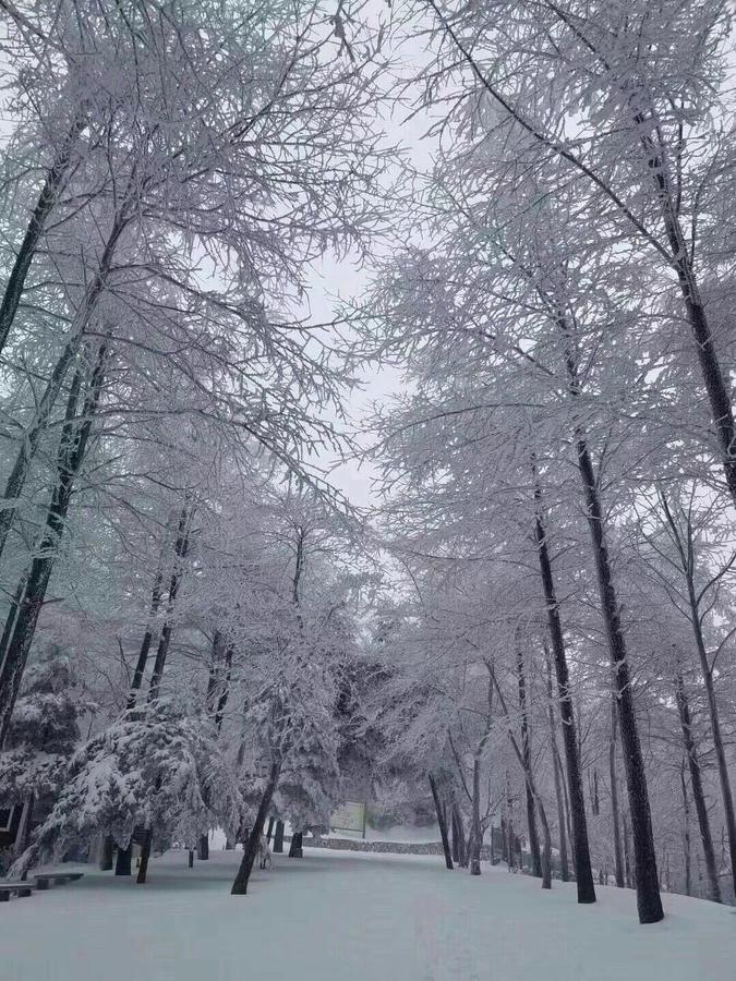 더칭 모간 마운틴 샤오무센센 빌라 외부 사진